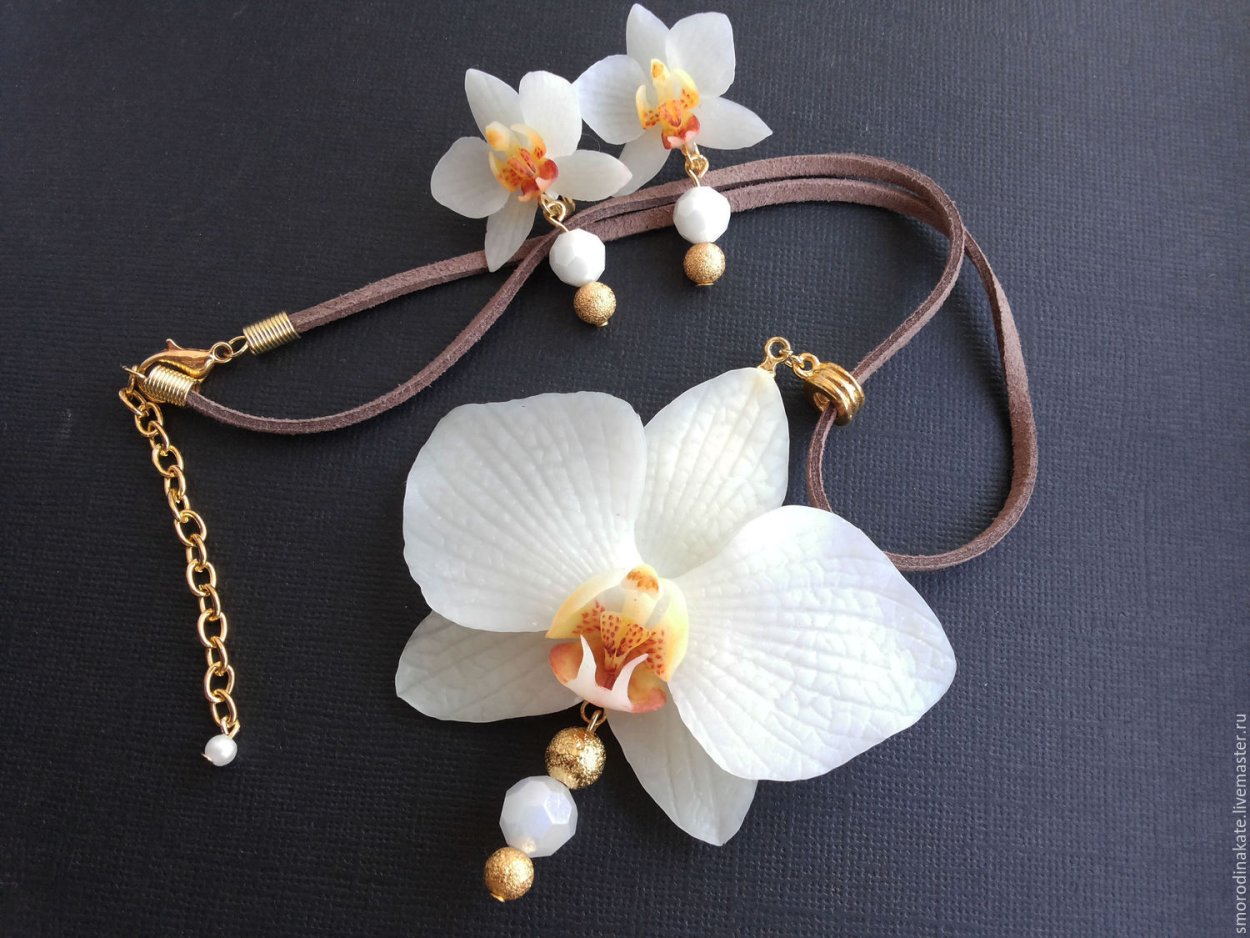 Белая Орхидея цветок