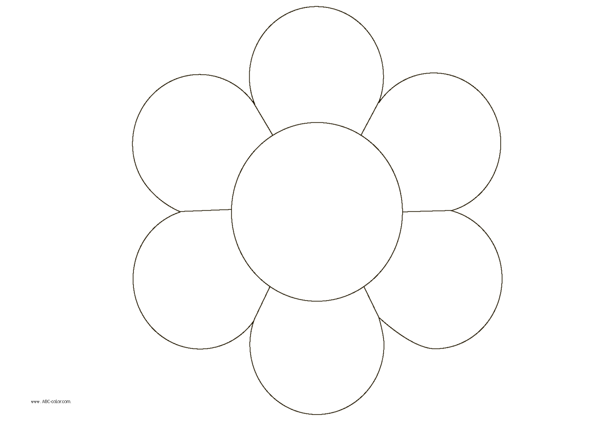 Анемон Нарцисс роза