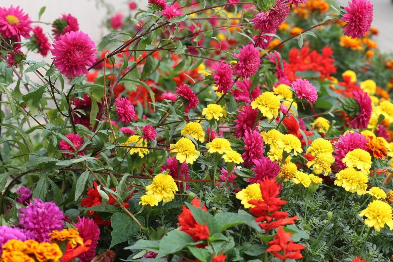 Осенний букет