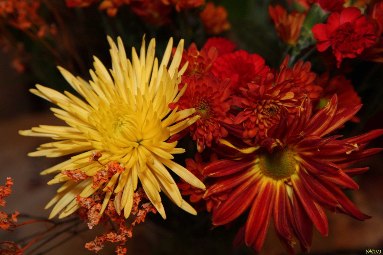 Поздние осенние цветы