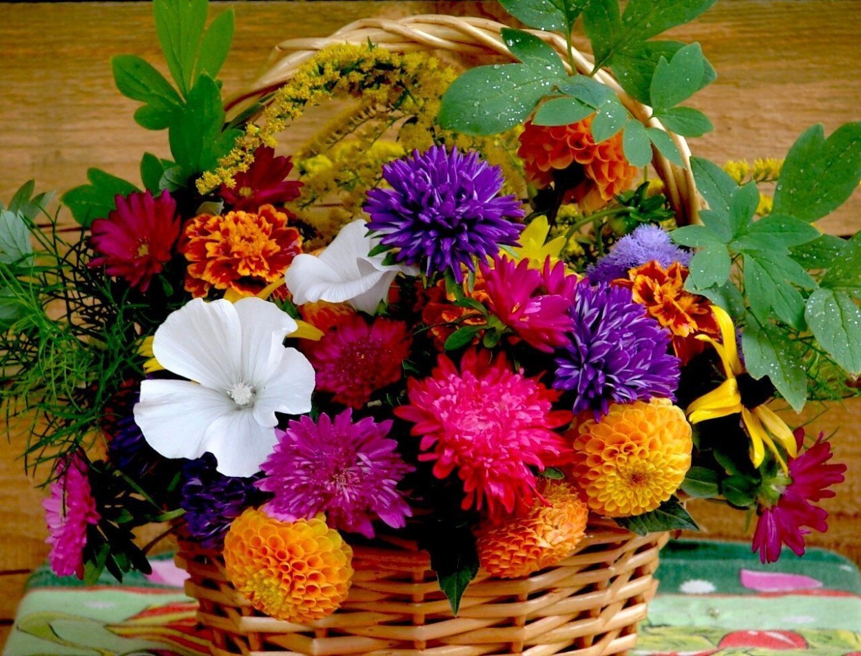 Осенние высокие цветы