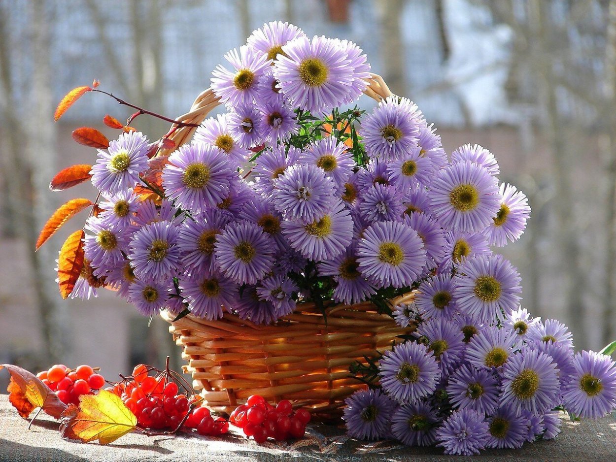 Осенний букет хризантем астр