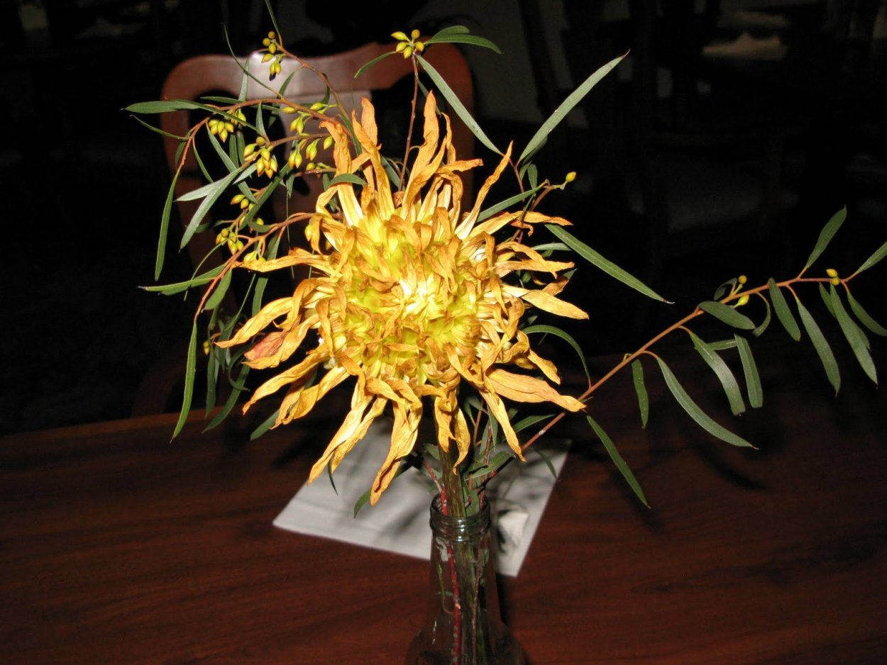 Уродские цветы