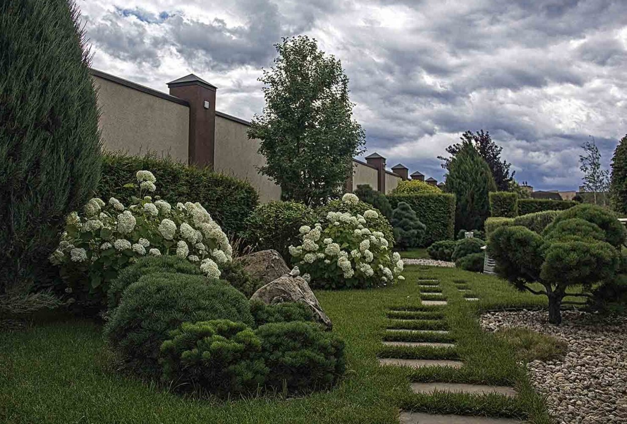 Татьяна Мельникова ландшафтный дизайнер хвойники