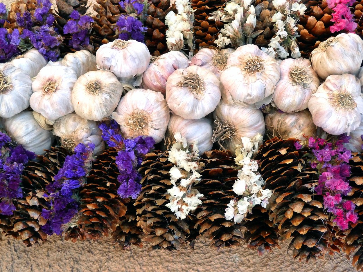 Соцветие Рокамболь