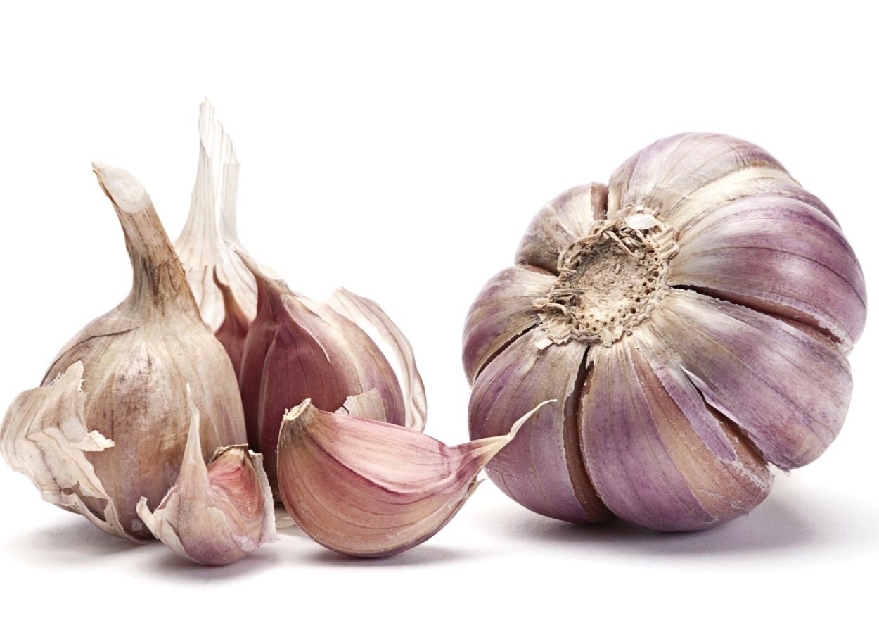 Чеснок крупным планом