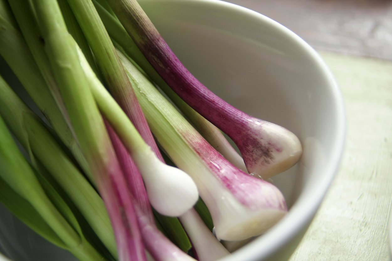 Необычные съедобные букеты