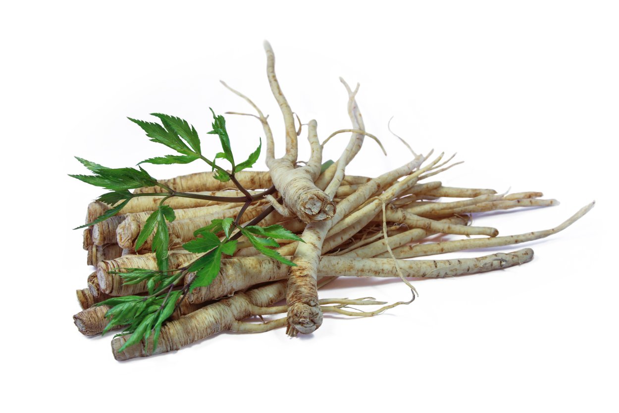 Коренья на белом фоне