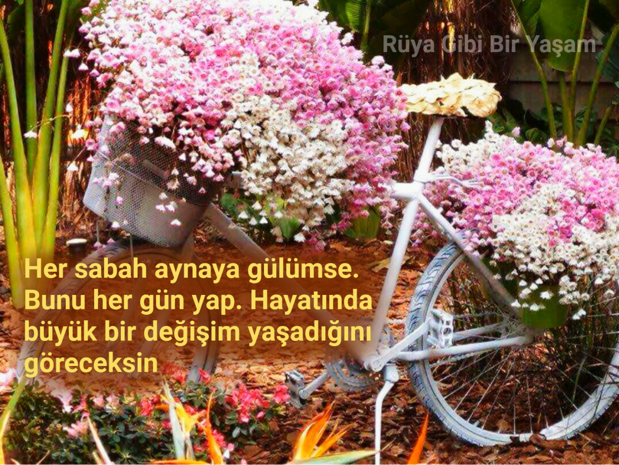 Велосипед в ландшафте