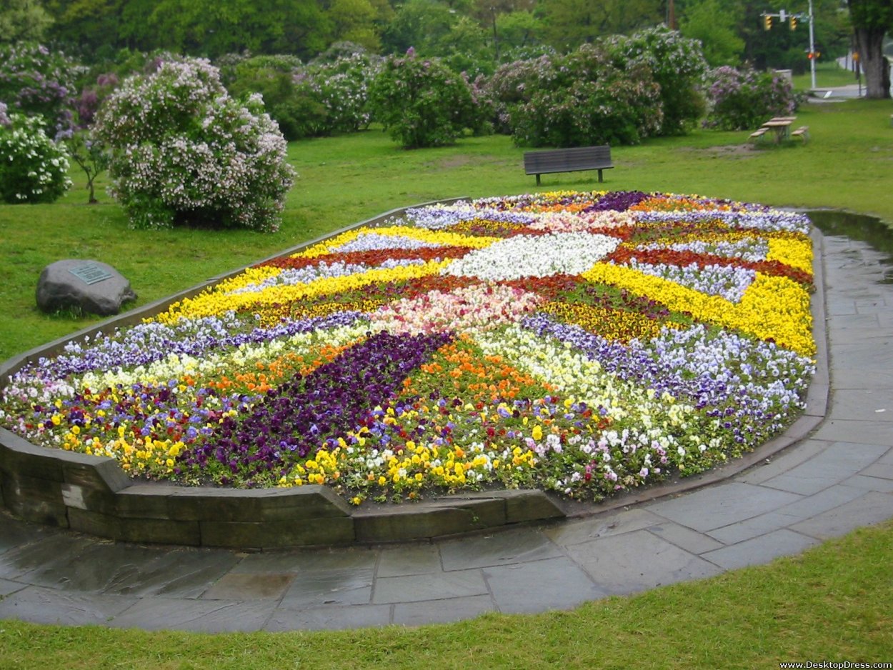 Полукруглая клумба