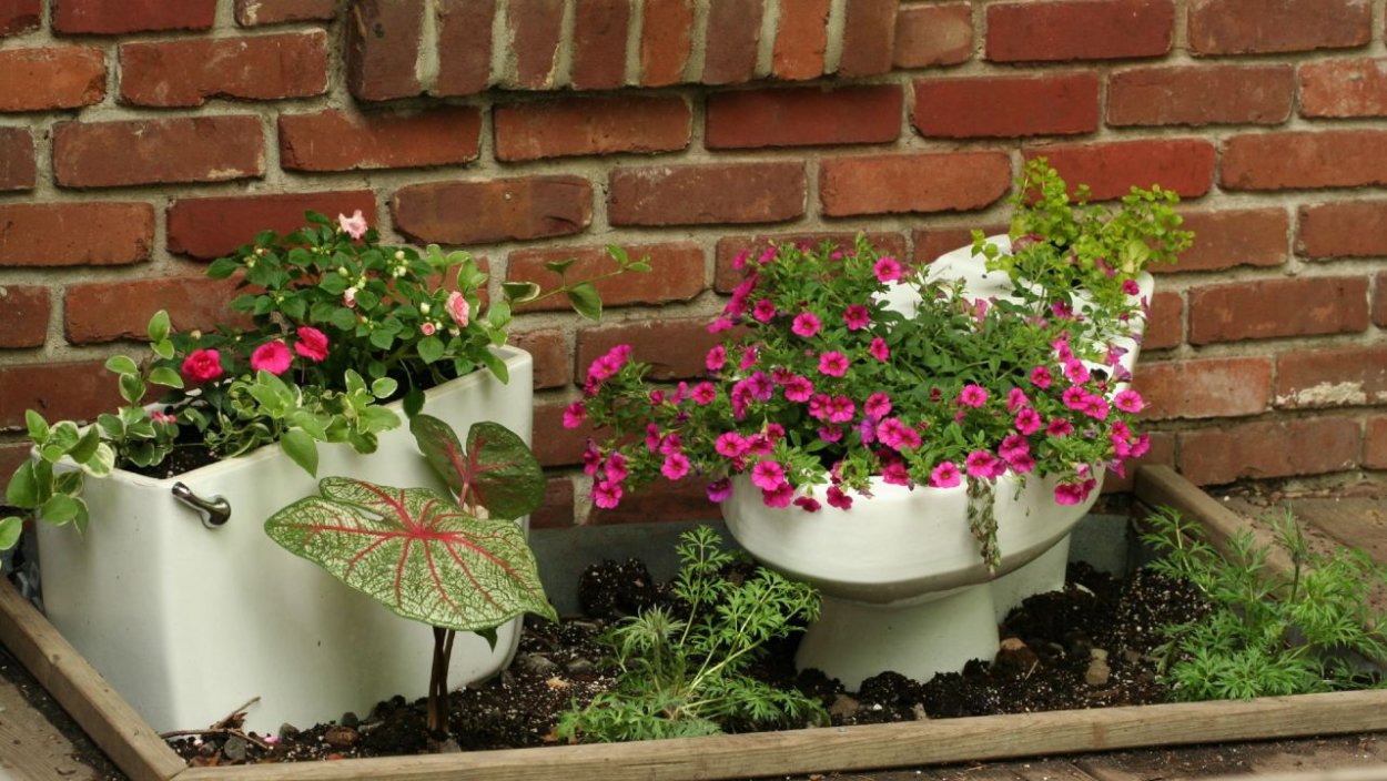 Клумба из старого унитаза