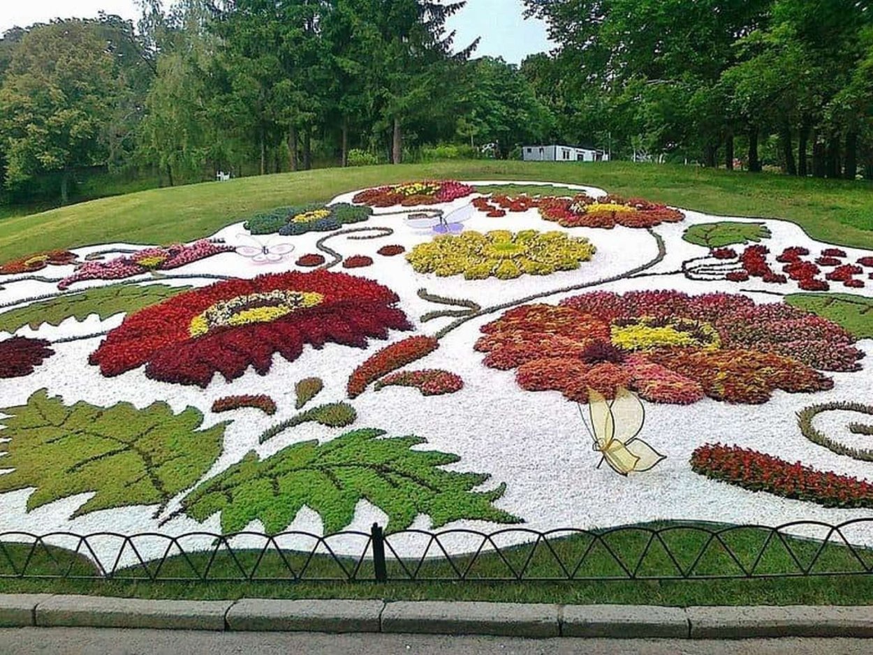 Арабеска клумба орнамент