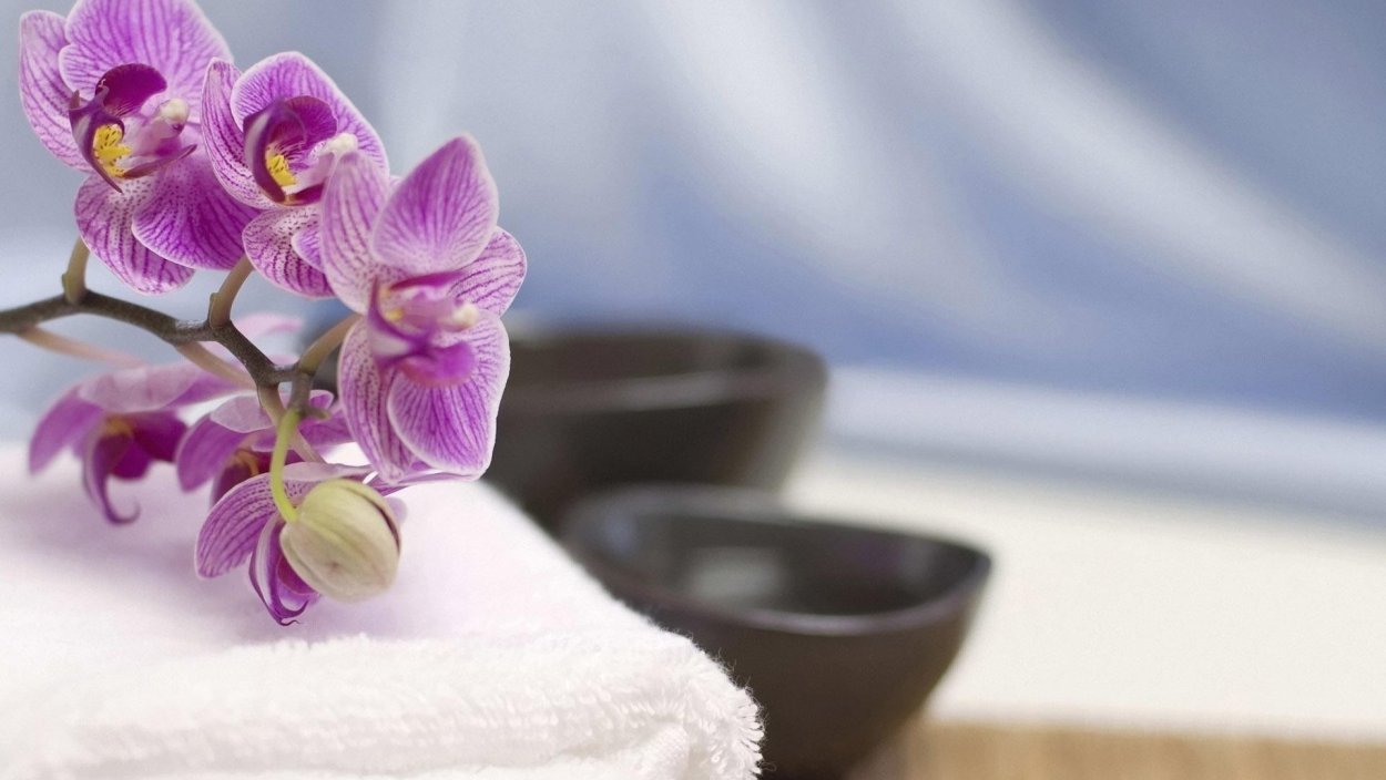 Керамическая плитка Mosplitka Орхидея