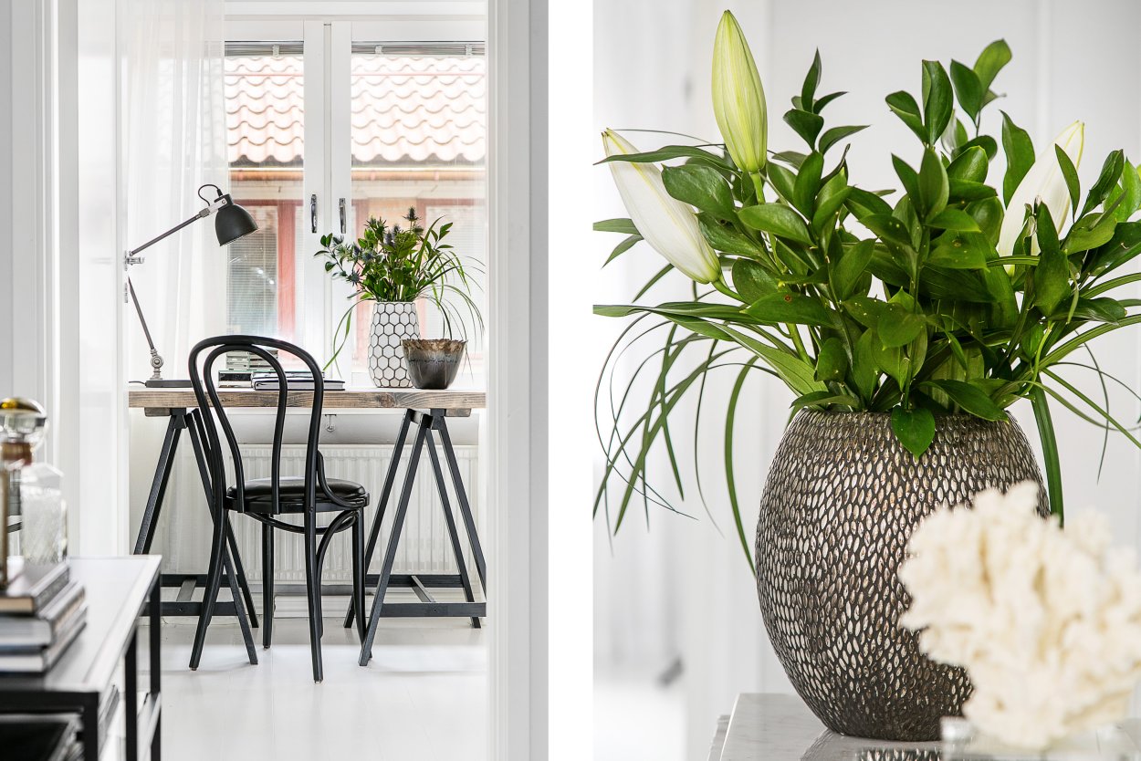 Комнатные растения в интерьере квартиры