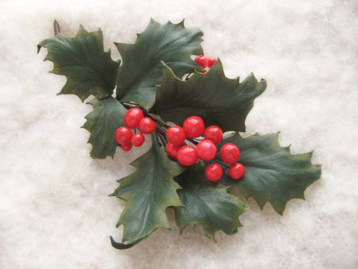Остролист растение Рождество