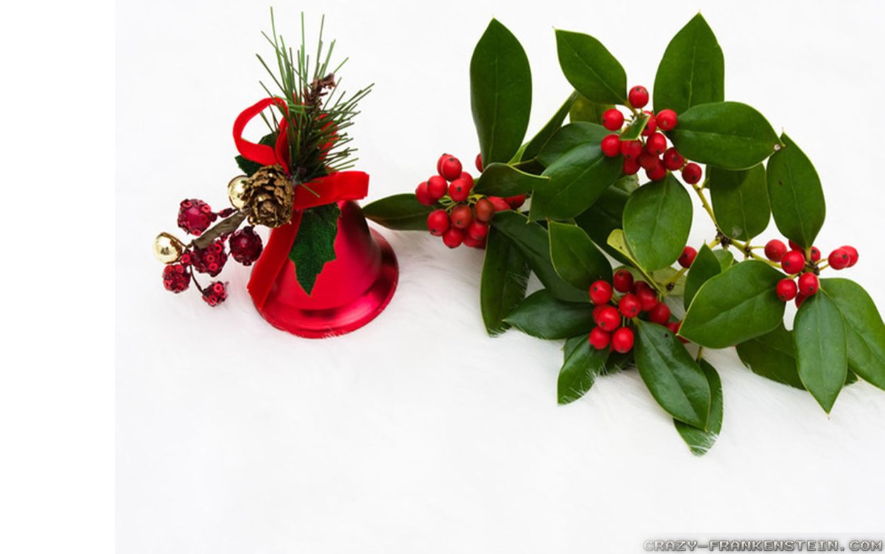 Красные ветки омелы