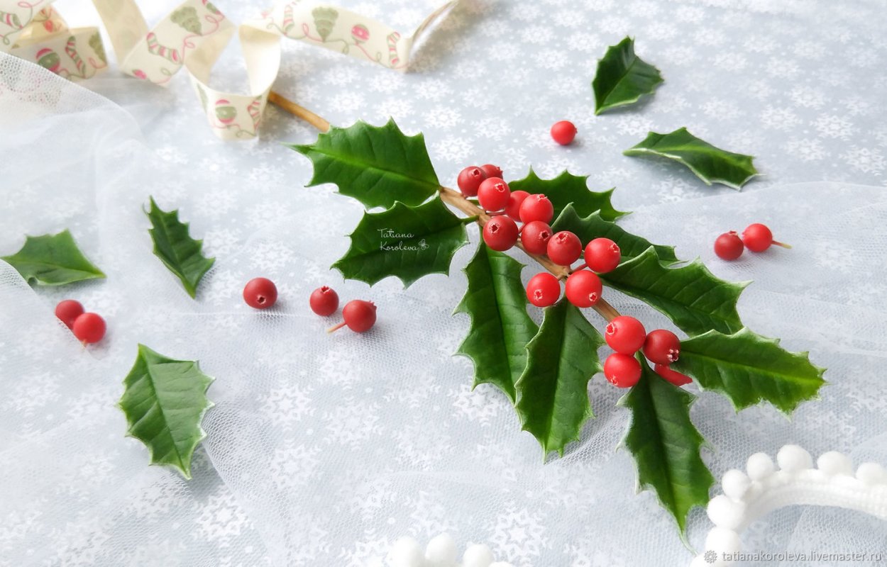 Красные ягоды с листьями