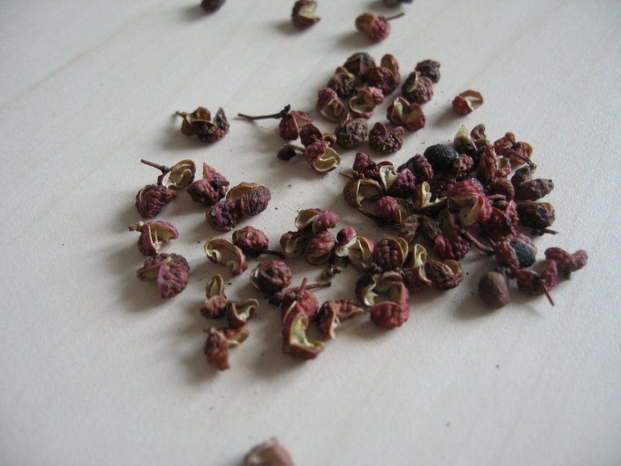 Зантоксилум Бунге