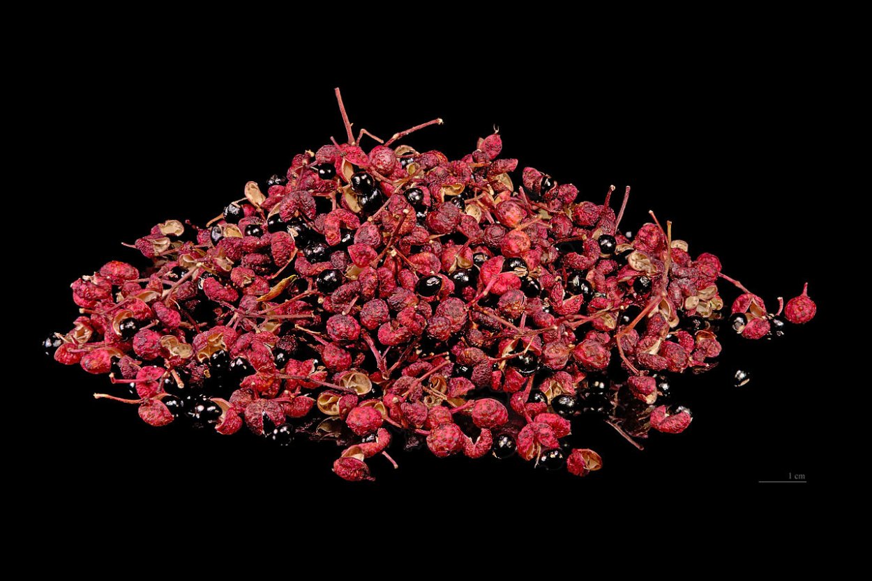 Сычуаньский или японский перец