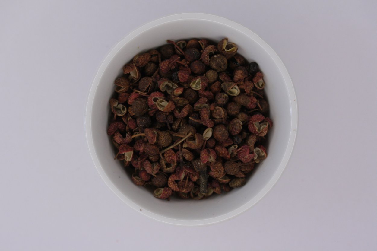 Zanthoxylum simulans