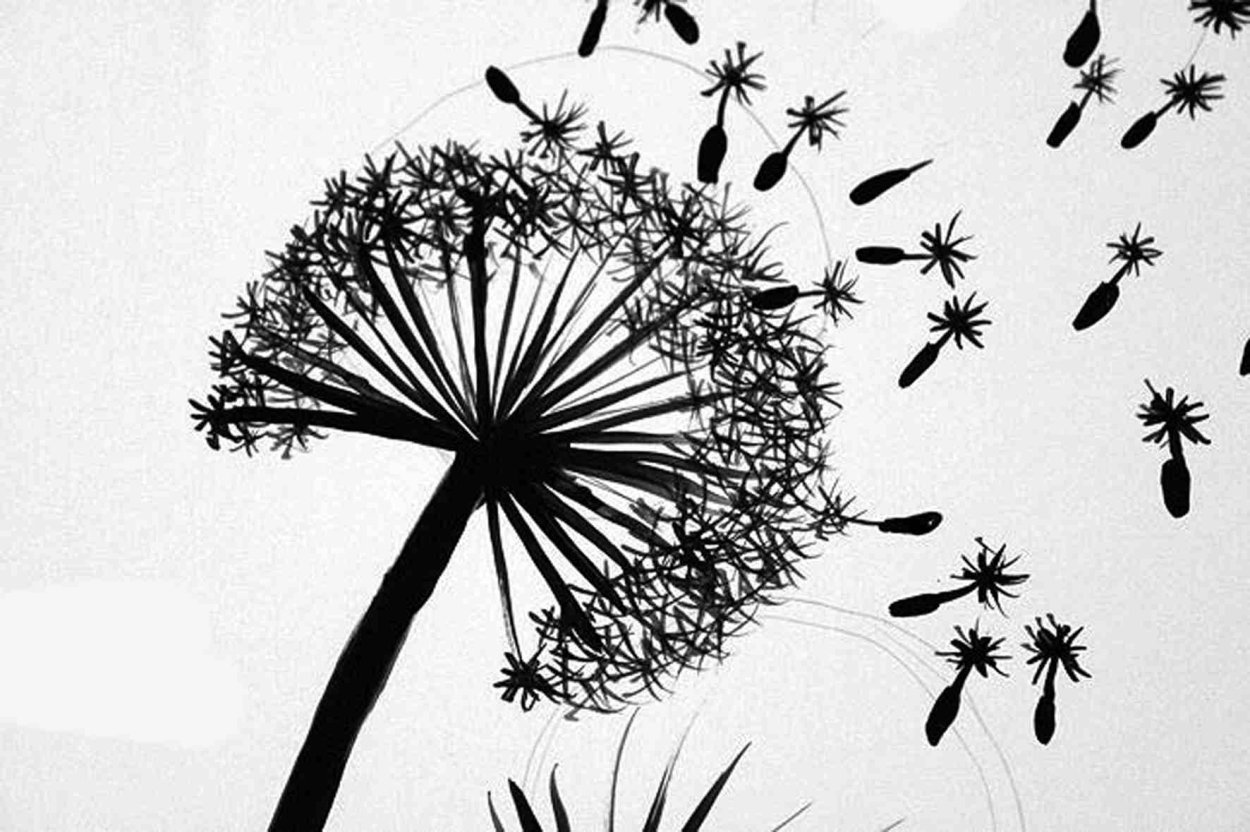 Одуванчик пятном