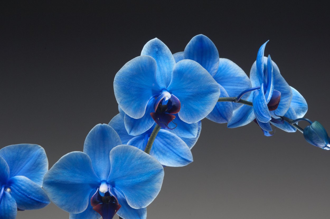 Любовь невзначай 2 сезон Тин и Кан