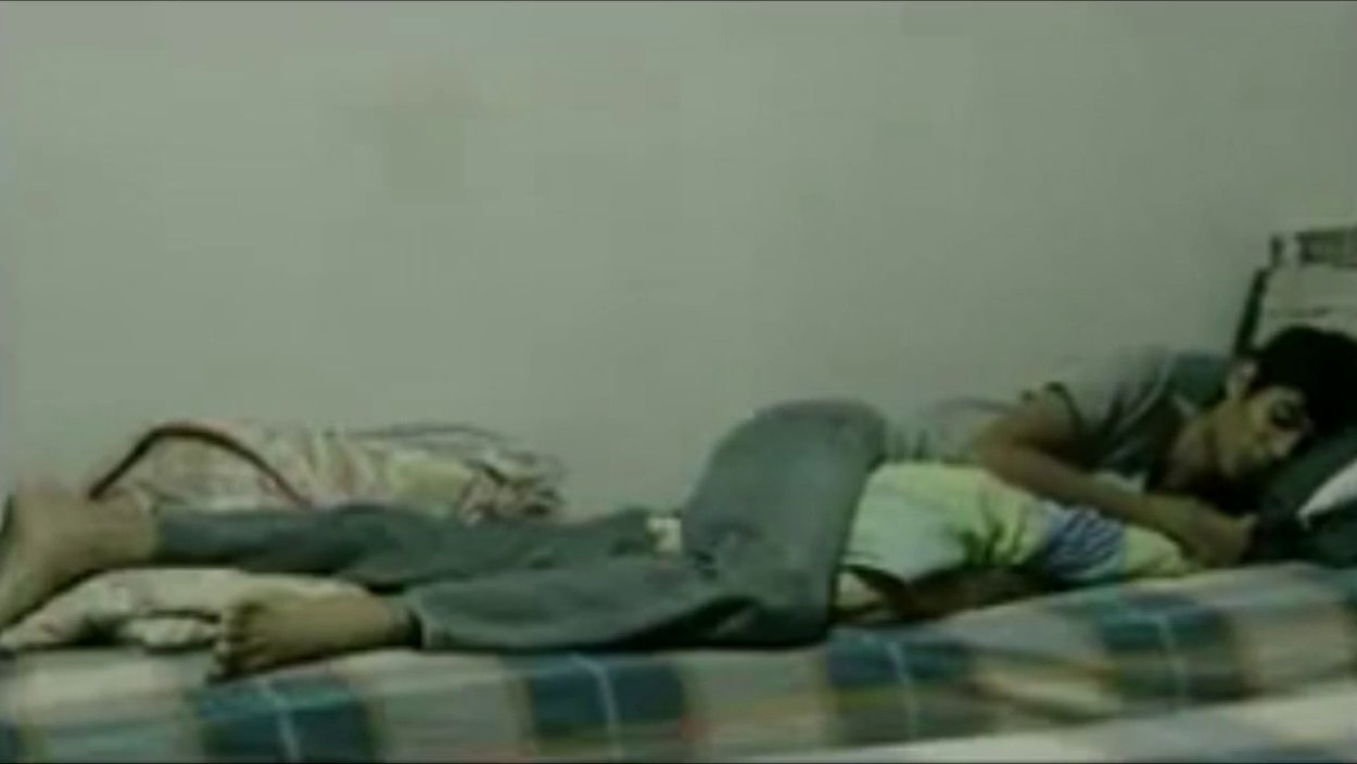 Синие орхидеи