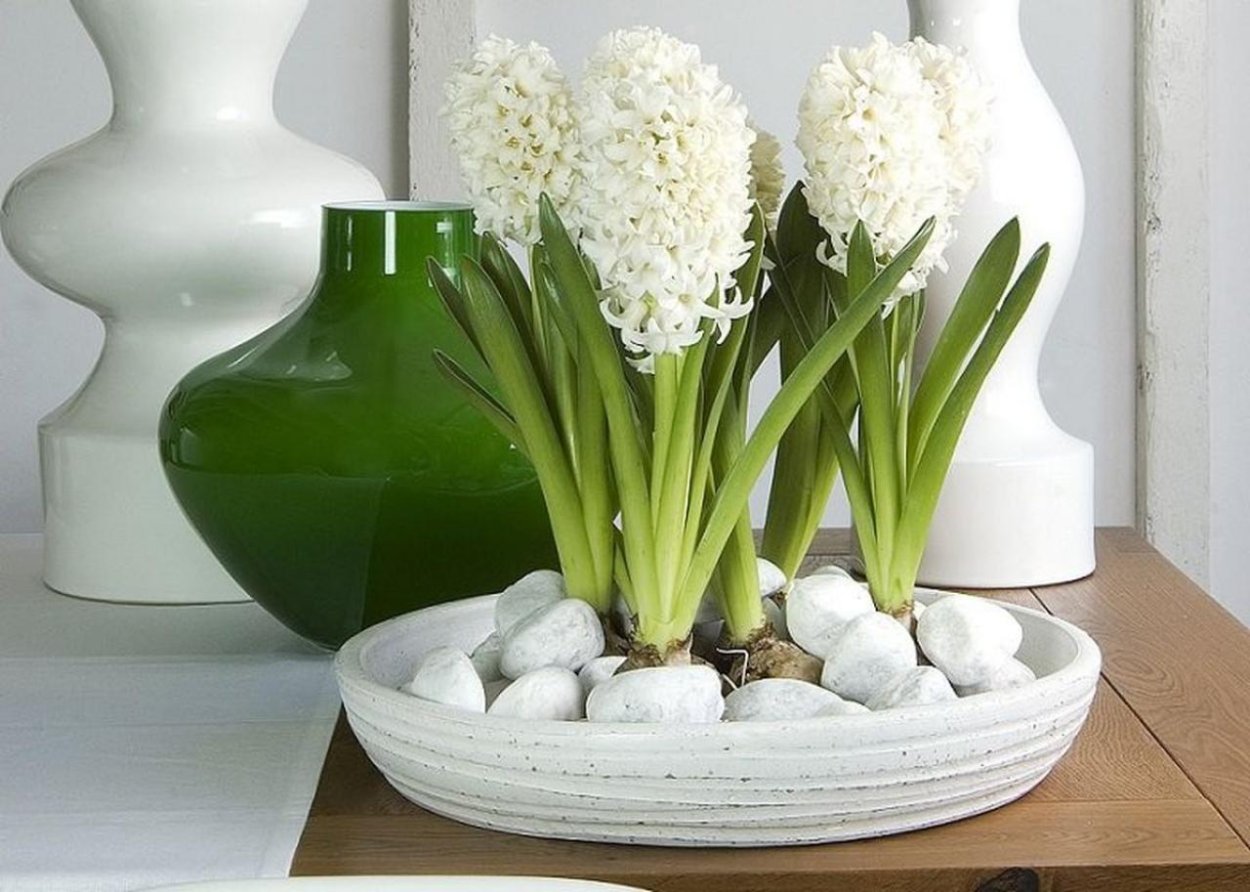 Природа макро