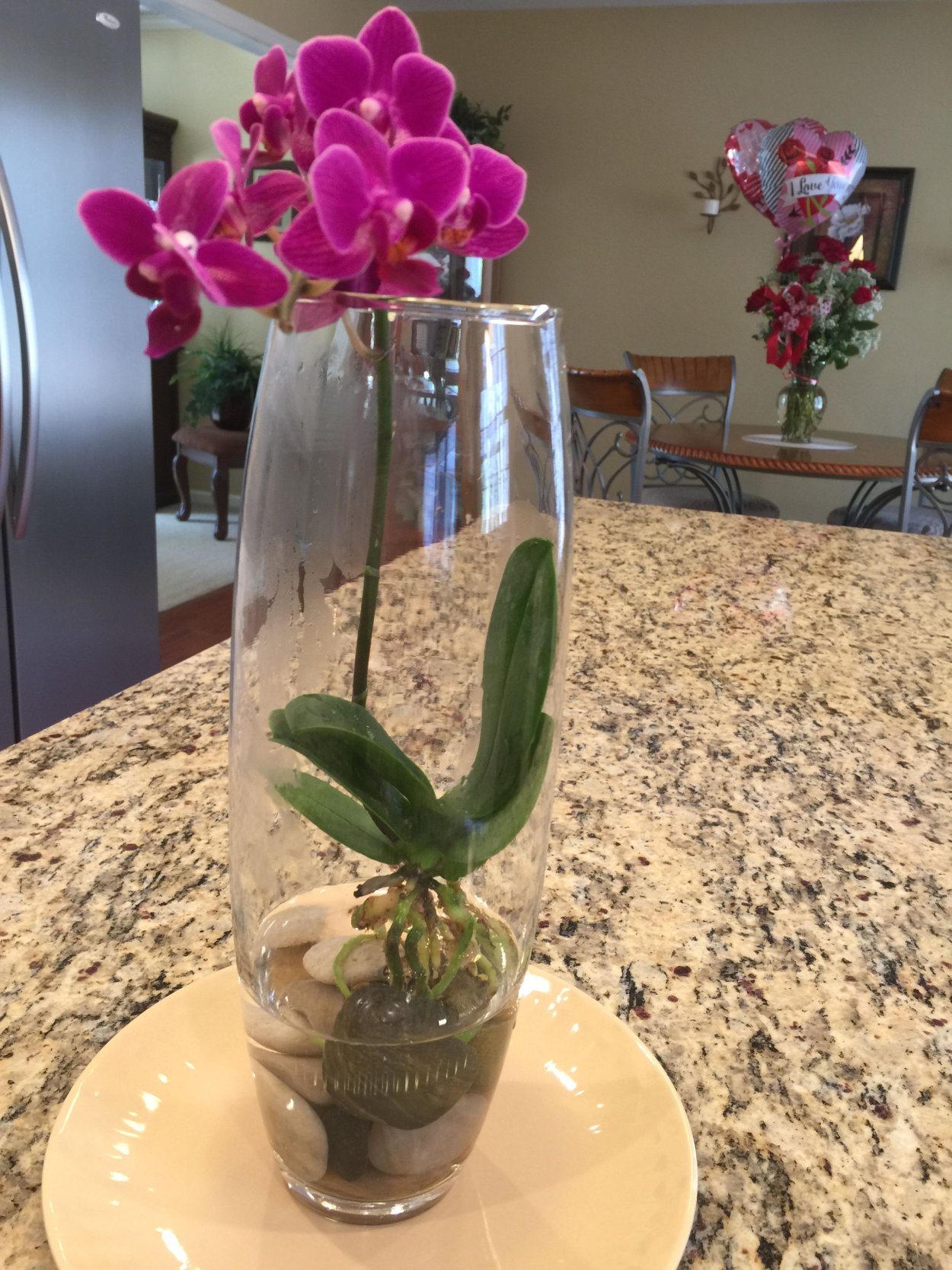 Лотос кувшинка водяная Лилия