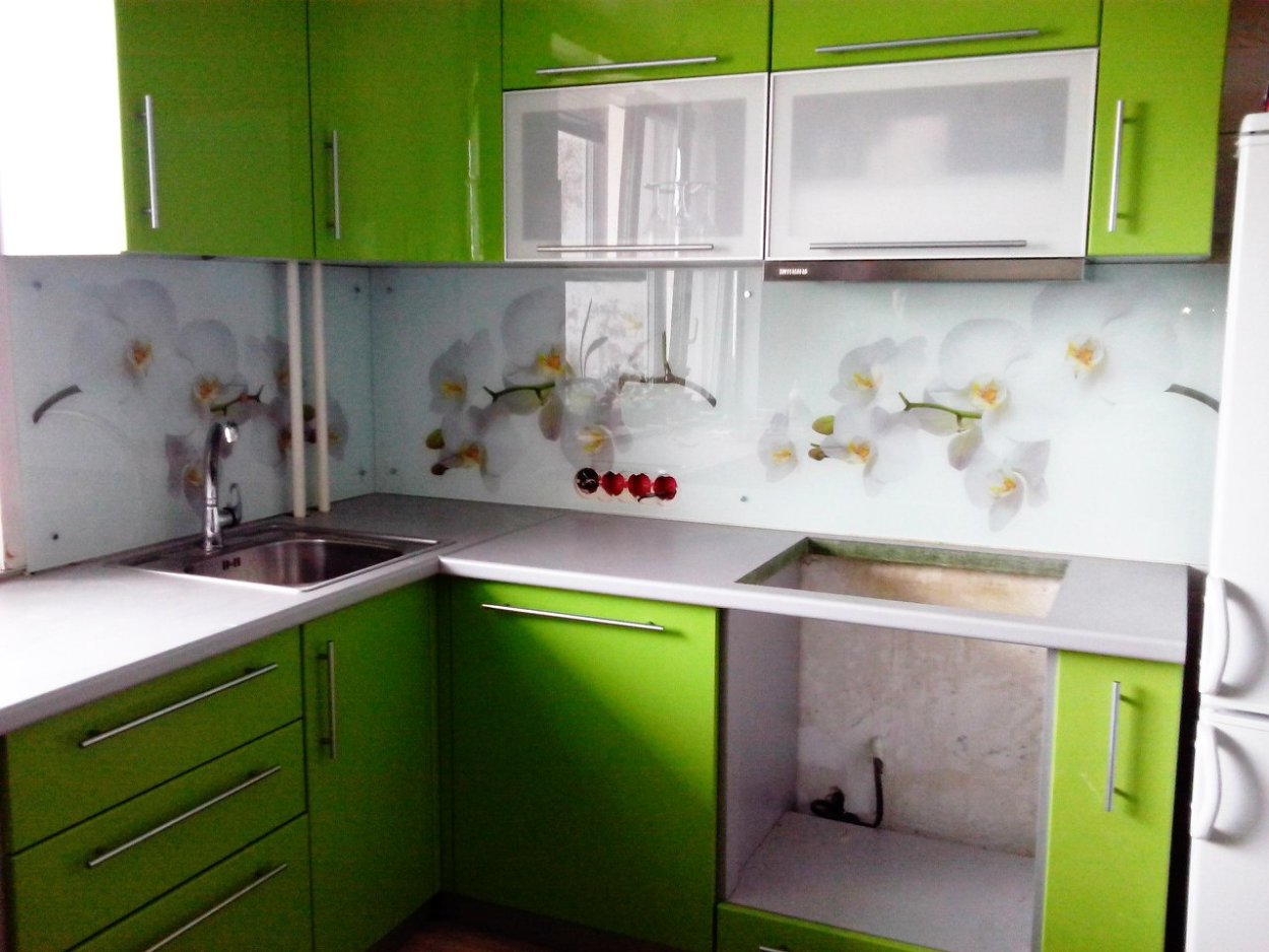 Зеленая Орхидея Помпадур