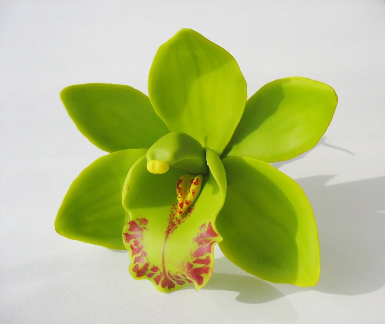 Фаленопсис салатовый