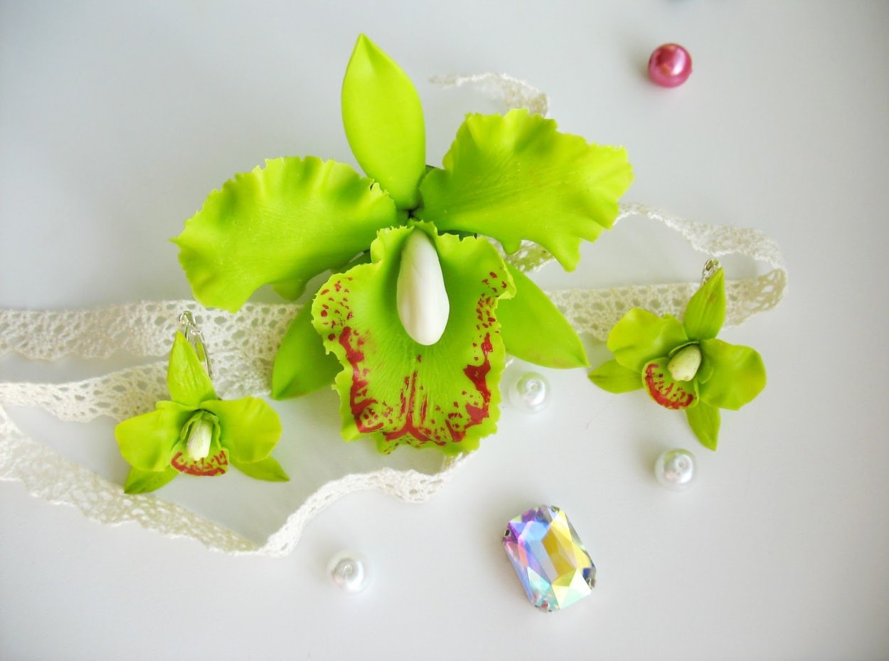 Орхидея желто зеленая