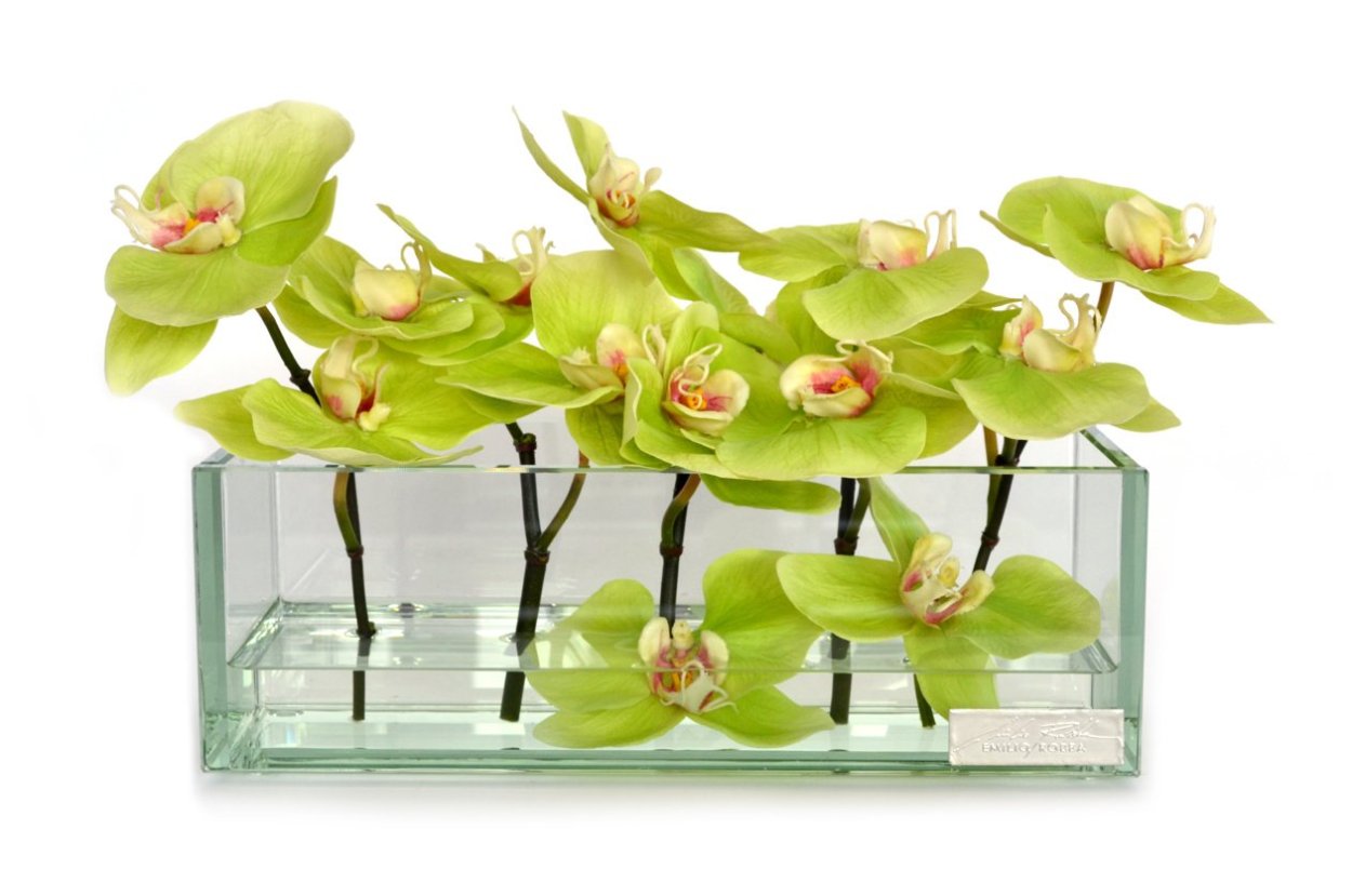 Орхидея Цимбидиум зеленая срезка