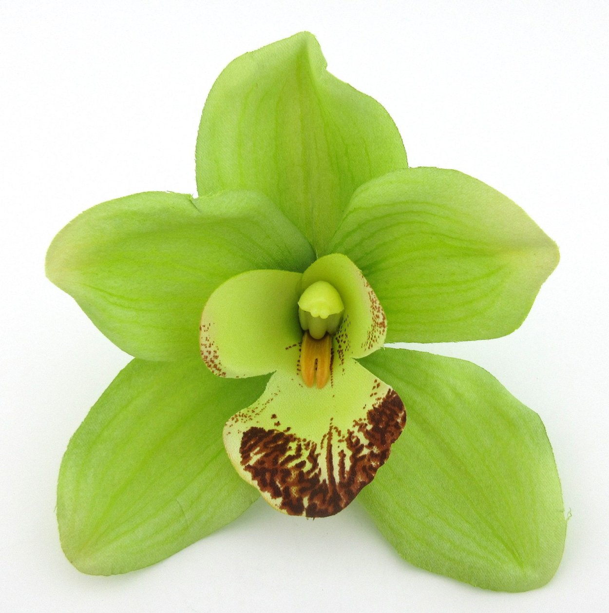 Орхидея фаленопсис Грин