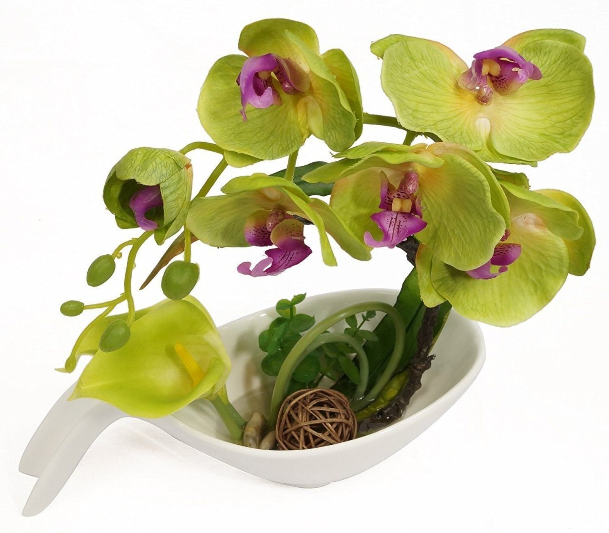 Цимбидиум Фиона