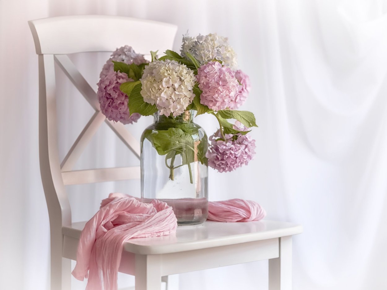 Гортензия Пинтерест