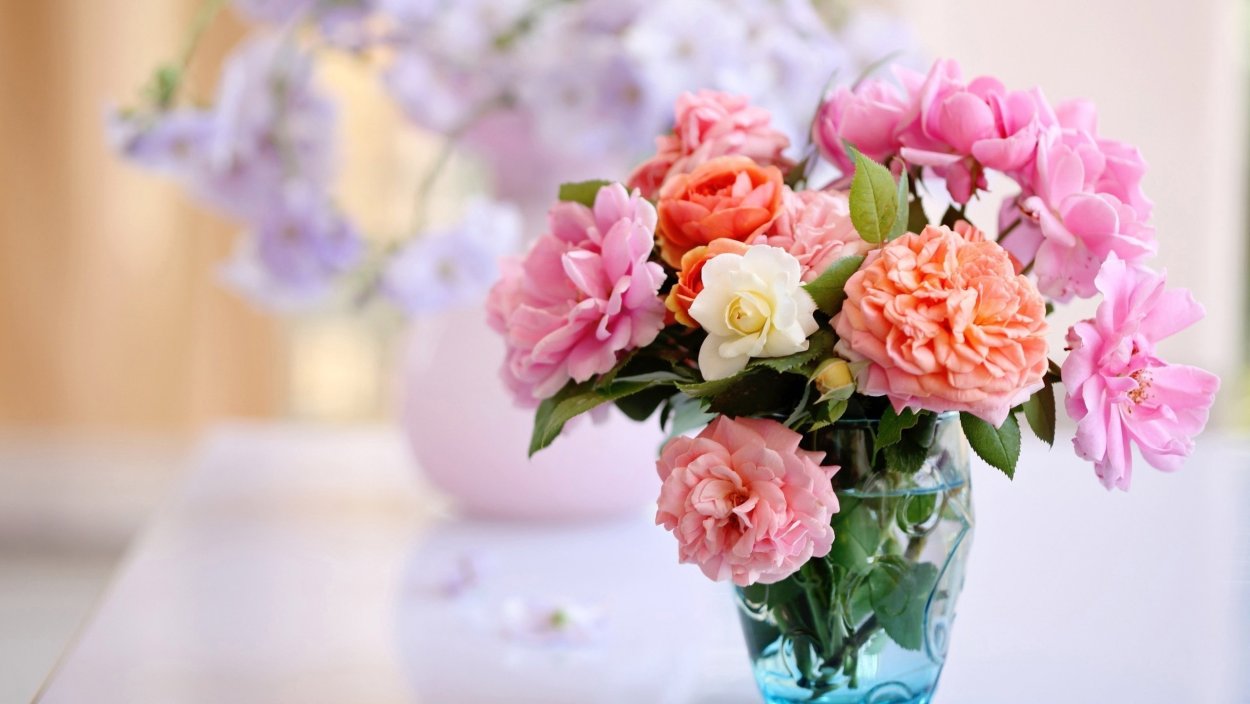 Нежный цветок