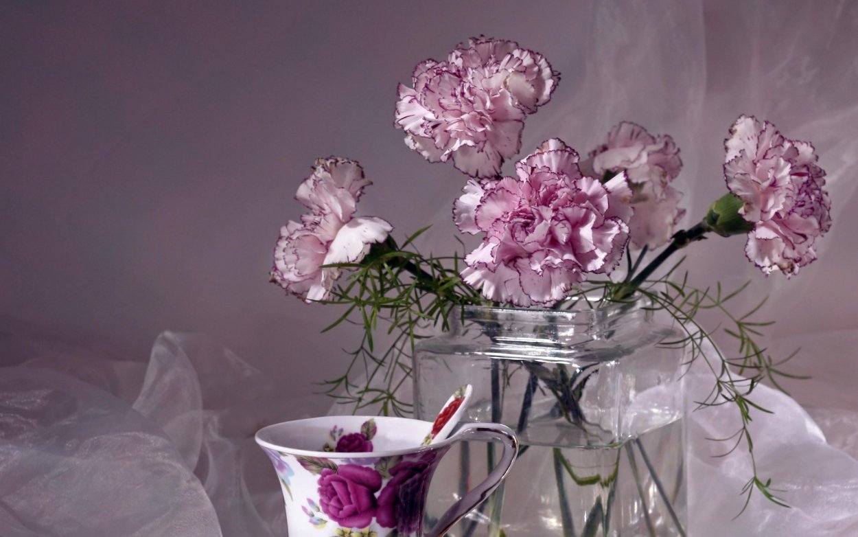 Гвоздики в вазе