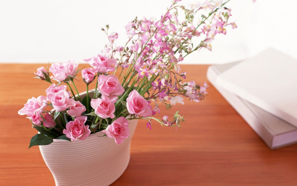 Хорошего дня картинки красивые необычные нежные