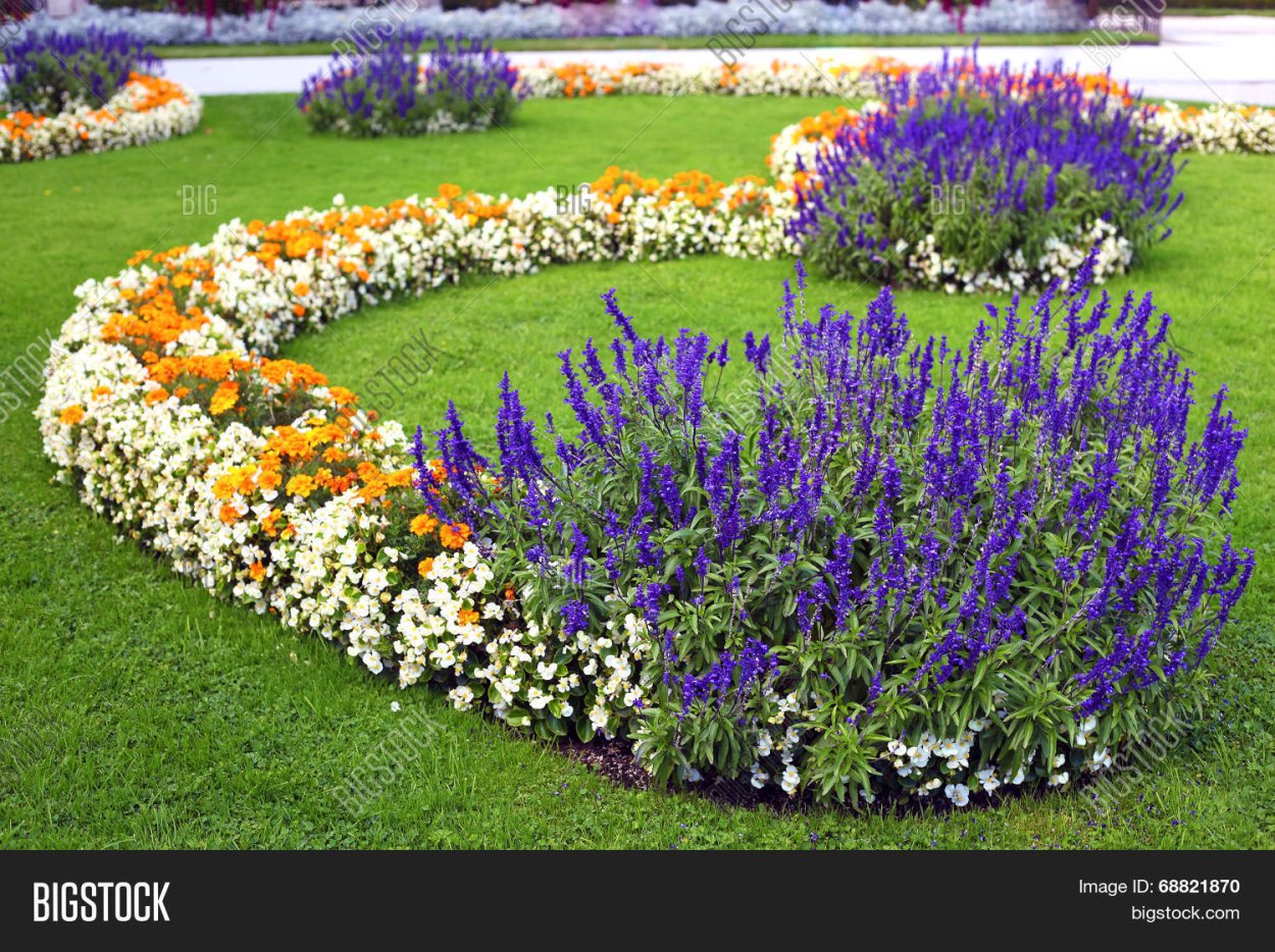 Статица на клумбе с другими