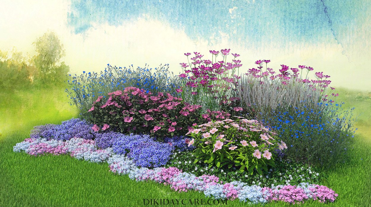 Миксбордер с космеей