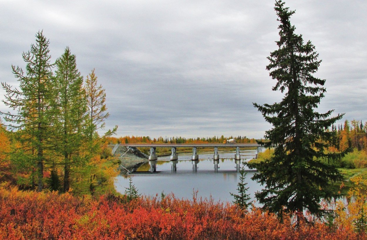 Золотая осень на Ямале
