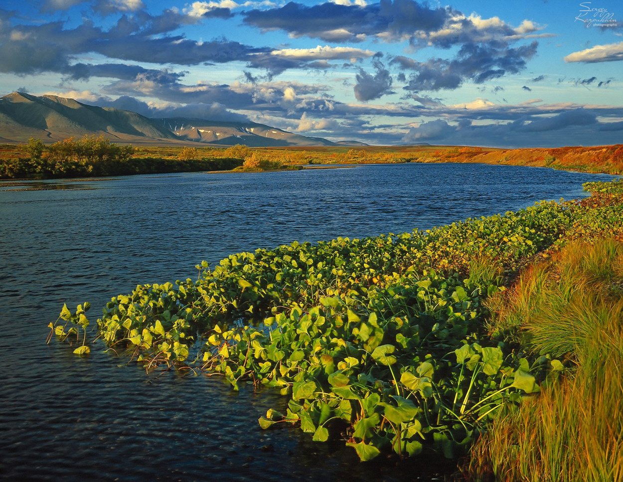 Река Собь ЯНАО