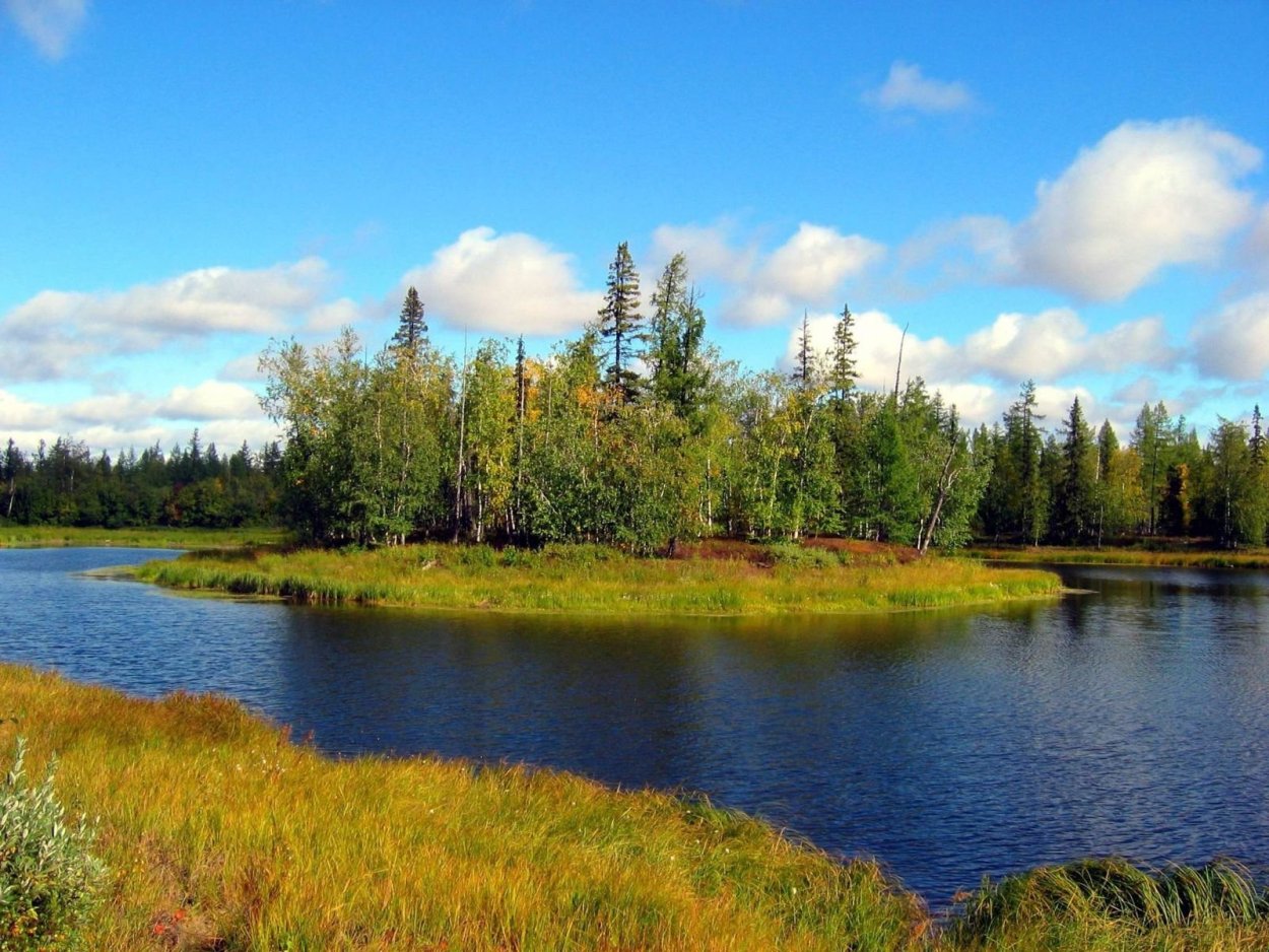 Надымский район природа