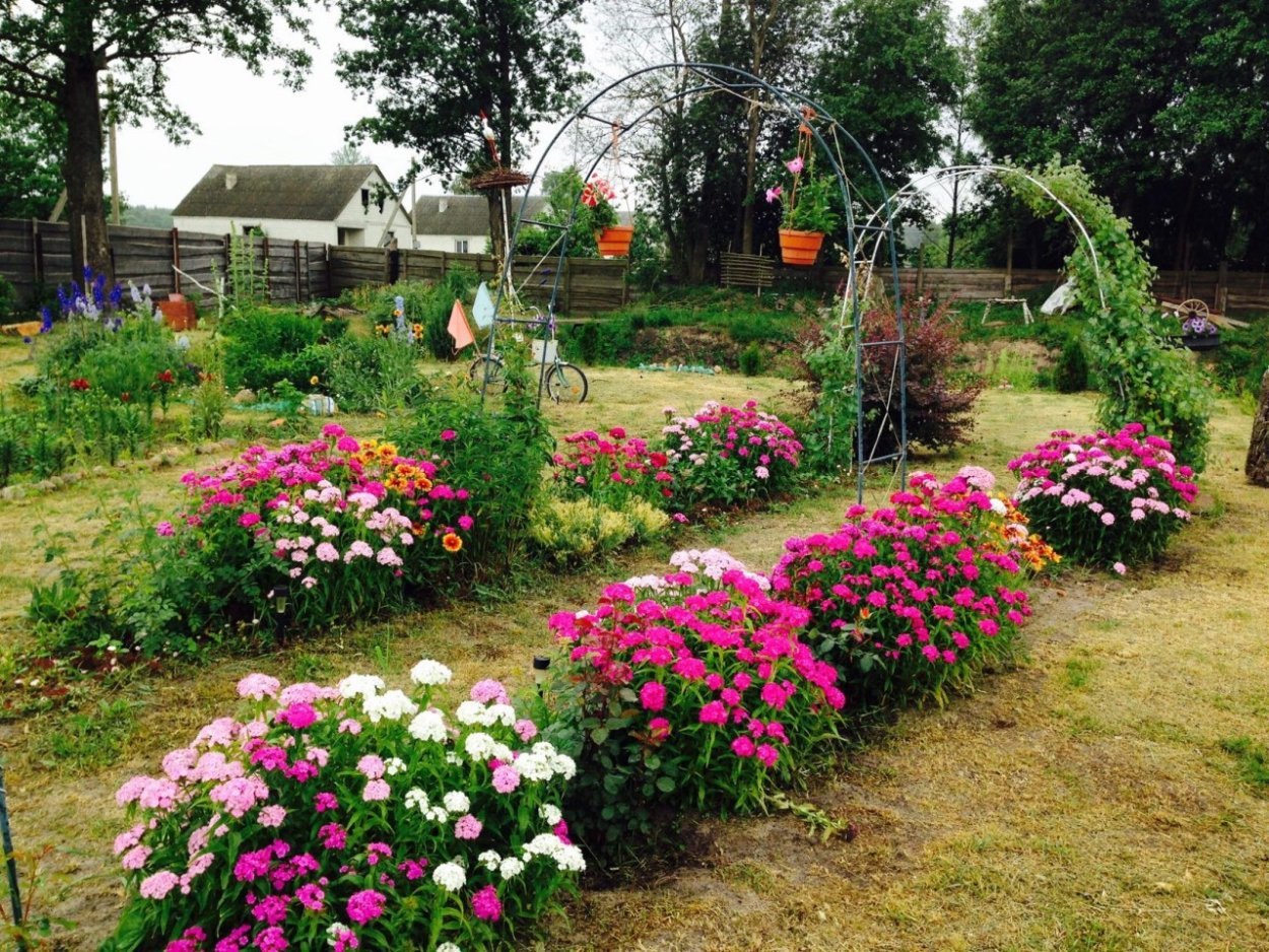 Красивые клумбы на даче
