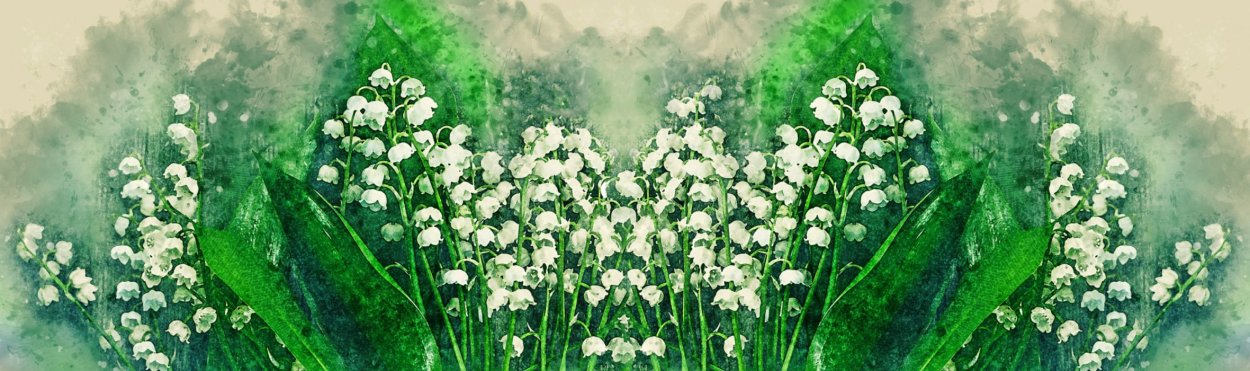 Лесные растения с белыми крупными цветками