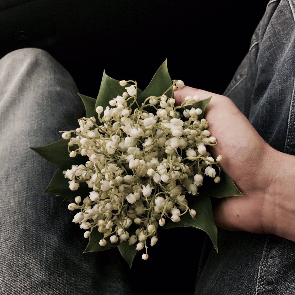 Ландыш пестролистный