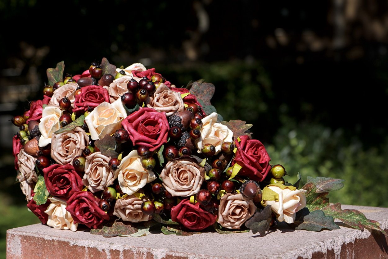 Сорт розы Эдди Митчелл