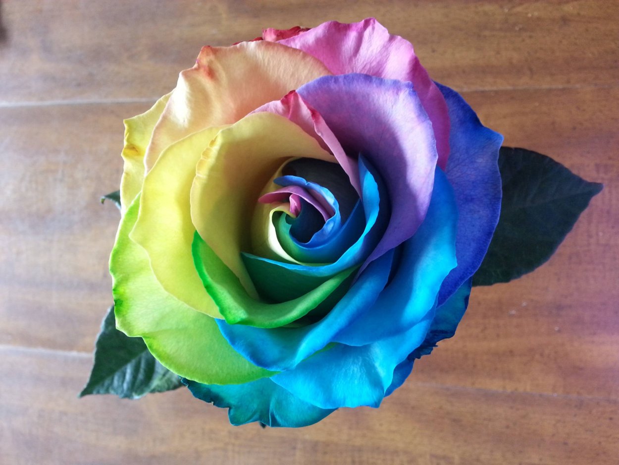 Необычные цветы