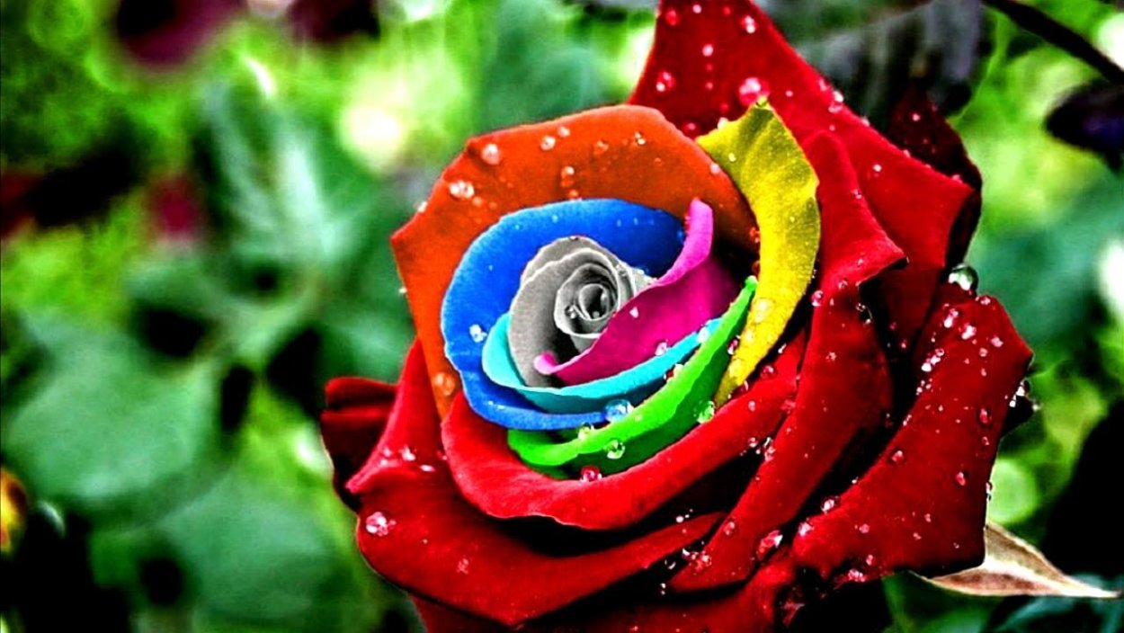 Гули Садбарг